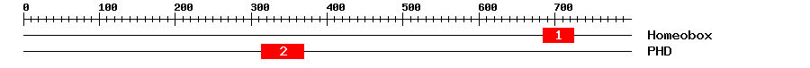 Signature Domain