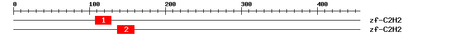 Signature Domain