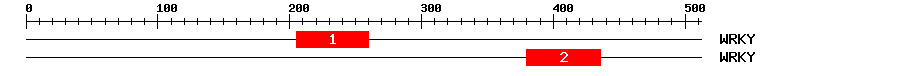 Signature Domain