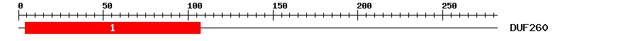 Signature Domain
