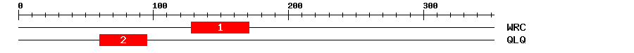 Signature Domain