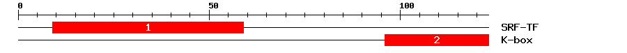 Signature Domain