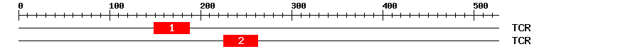 Signature Domain