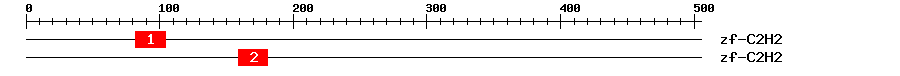 Signature Domain