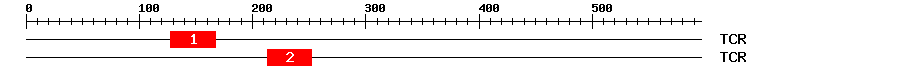 Signature Domain