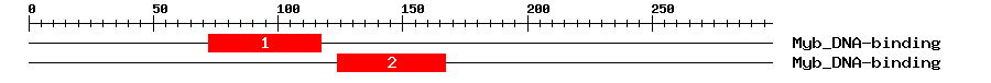 Signature Domain
