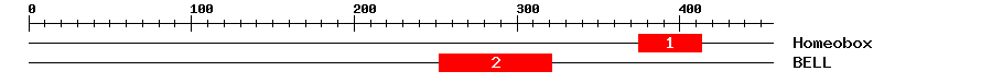 Signature Domain