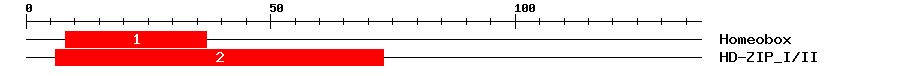 Signature Domain