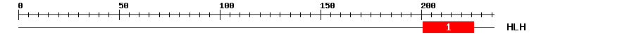 Signature Domain