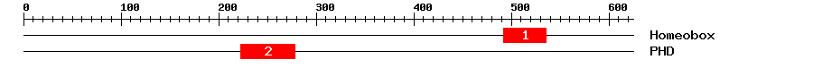 Signature Domain