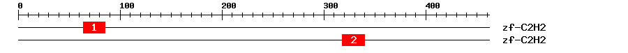 Signature Domain