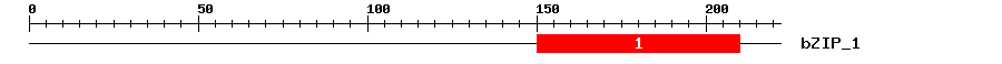 Signature Domain