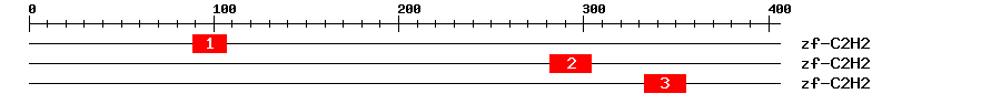 Signature Domain