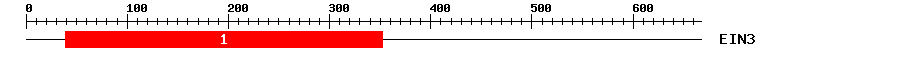 Signature Domain