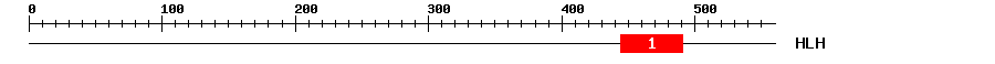 Signature Domain
