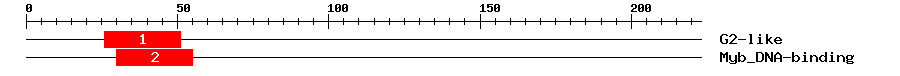 Signature Domain