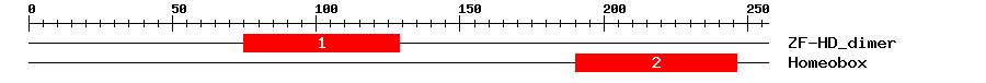 Signature Domain