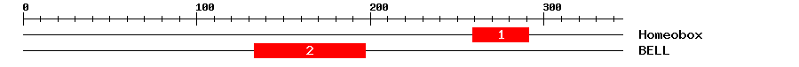 Signature Domain