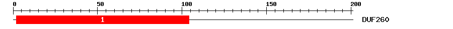 Signature Domain