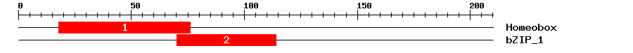 Signature Domain