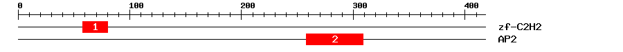 Signature Domain