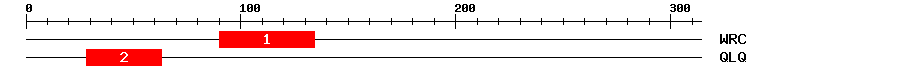 Signature Domain