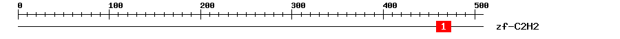 Signature Domain