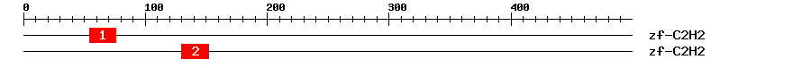 Signature Domain