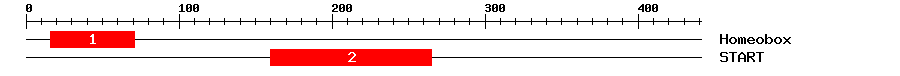 Signature Domain