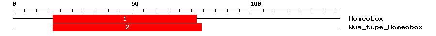 Signature Domain