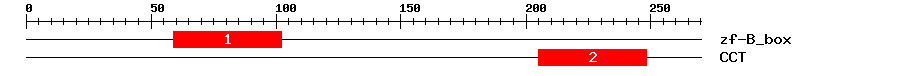 Signature Domain