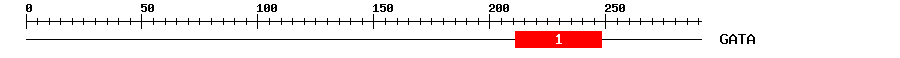 Signature Domain