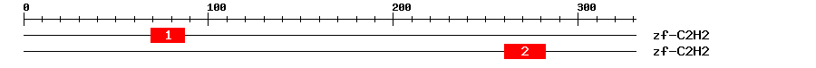 Signature Domain