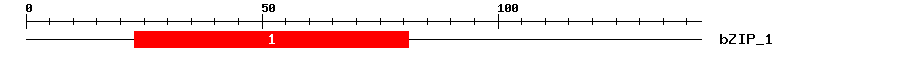 Signature Domain