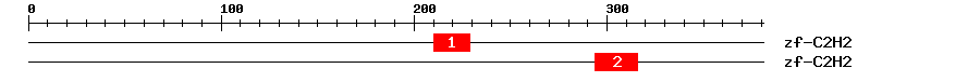 Signature Domain