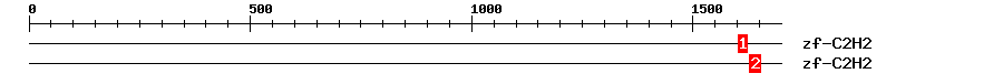 Signature Domain
