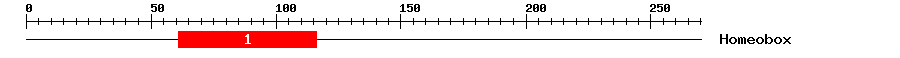 Signature Domain