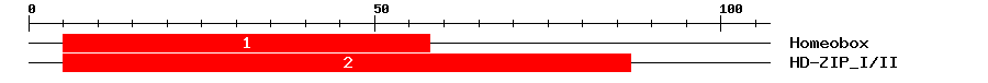 Signature Domain