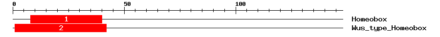 Signature Domain