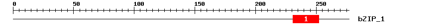 Signature Domain