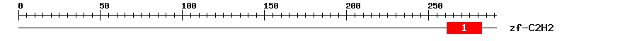 Signature Domain