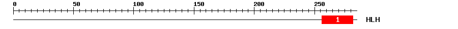 Signature Domain