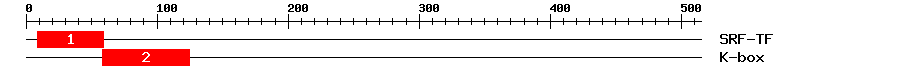Signature Domain