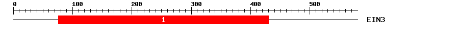 Signature Domain