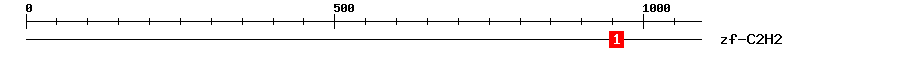 Signature Domain