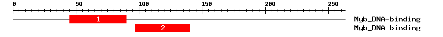 Signature Domain