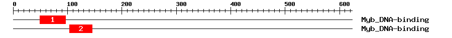 Signature Domain