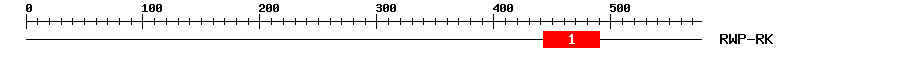 Signature Domain