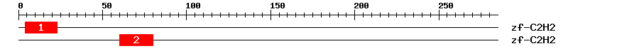 Signature Domain