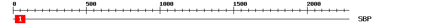 Signature Domain